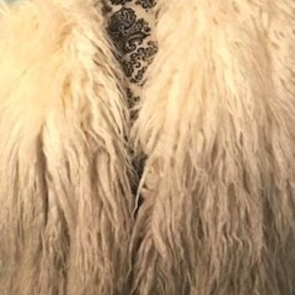 Fluttery - Picture 2 of 5